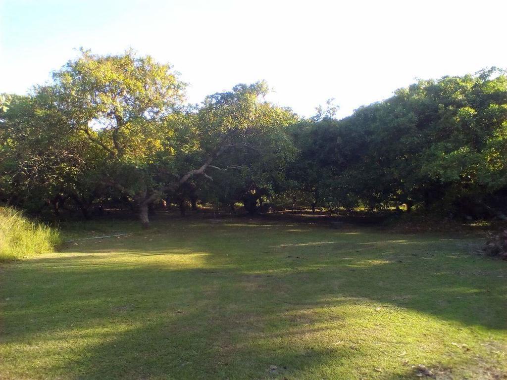 Cashew Nut Bungalow, Ko Mook Luaran gambar
